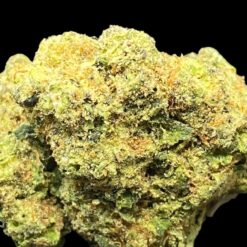 0A8D51C8 6012 46FA 9B1B AF99A8C8BBE7