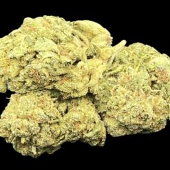 Gorilla Glue Buy1oz Get 1/2 free 1 14023C89 FC7A 4939 A935 4A9B409CAA4E