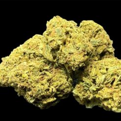 Bubble Gum 🫧 2oz for $95 3 39109EBF 8526 4D6A BD24 464FD1A5075C