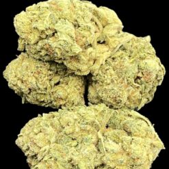 Gorilla Glue Buy1oz Get 1/2 free 2 3A91C57D 1E40 4532 9048 6FD60F1AF2A7