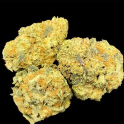 523E4C49 0C29 40FF 9280 7BF4DDF78451