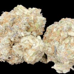 9133031C E710 4AD8 8B8C 5CD9345F6990