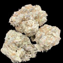 A2B3BCE6 034E 4D56 A6B7 A8F0AE3AE443