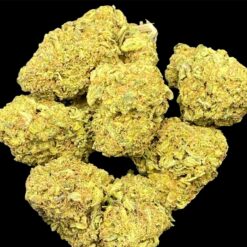 Bubble Gum 🫧 2oz for $95 1 F2E51D2D 2F45 40A1 8B8F B6874DE3DA62