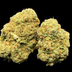 043AA2C0 2FBF 4DAB B875 D1783D6DD48F