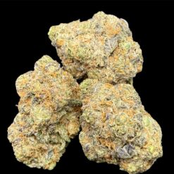 DFD4CAC5 1186 4AFB B138 138384A1943A