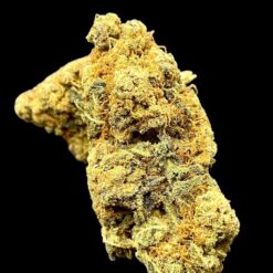 277B42BD 0CDA 4C77 BC01 A1284F72D5B9