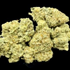 31B081C3 99C2 43C5 AF72 EF6344A5588C