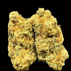 5009E53C 8D77 429C AFE9 379925FC9FC3