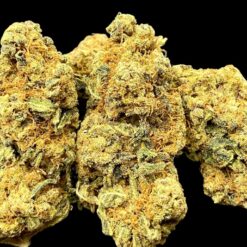 DE681F09 B016 49D7 B633 A7C5C7AE69F6