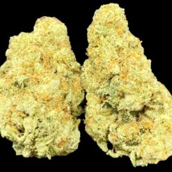 Slurricane 🌪️ Buy1 Get 1/2 Free 1 55ECA2E8 C076 4923 A669 EBB8F2B3B514