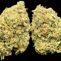 Death Bubba 1 Death Bubba strain buds - indica-dominant hybrid with dark green nugs, purple undertones, orange hairs, and frosty white trichomes