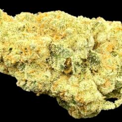 Slurricane 🌪️ Buy1 Get 1/2 Free 3 BC576BDF 8407 4DCD B6AE 31EEE975A8F4