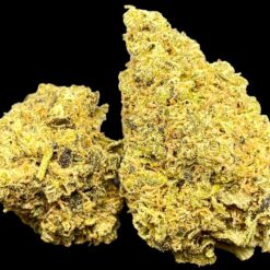 Gas Chamber 1 162B25BB 810D 4673 8A68 4F1B5233EBFF