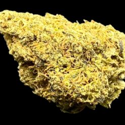 Gas Chamber 3 5A13FA2A 2ABB 479D AD5F 4482A9A269DC