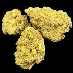 Gas Chamber 2 8CD24818 C714 40EB 8C1B 4CC5E5F8E0FC