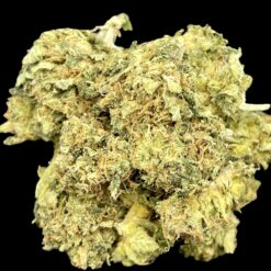 91DEB75D 3369 4E85 9821 2682314D4D31