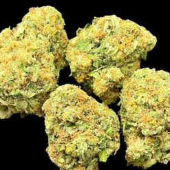 Grimm Glue 2 F2C3325D 0367 4A51 BF01 6B9DFE042562