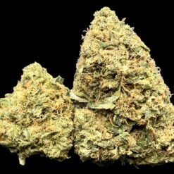 F6EA8FD6 7FC4 4EFD 91B2 53F0BD316CBA