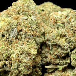 Hells Fire 3 81FB98C8 1296 4828 8EBA 353478635C40