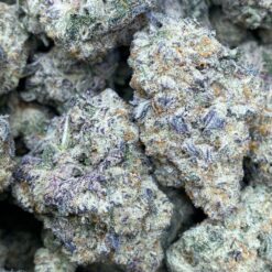 Purple Krush 1 96D4802E 7E96 4911 A5E9 E5762C2D84E0