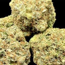 Hells Fire 2 CAB8FCCD 2FA4 4C25 AA1A DE9CD74D24AE