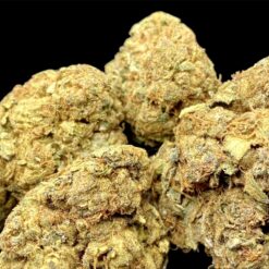 Agent Orange 🍊 2oz for $105 1 397814B6 FF0B 4C6F A2AC 8BD8E133F424