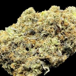 3AD7BF6E A42E 4DCE 8407 E1AE58D180BD