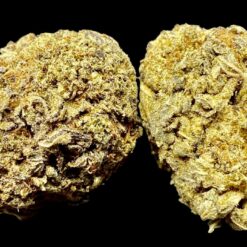 42D837C0 2302 4CD7 8FA4 5072EAE64BAB