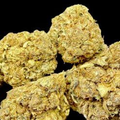 Agent Orange 🍊 2oz for $105 3 A26423B9 778C 459C A1ED 7571EAFEDE72