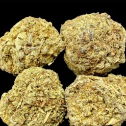 A7B91649 A618 4001 9D2B 8461CD9142A9