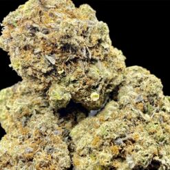 D0696AF4 BFE8 4B62 B172 CC02441856FF