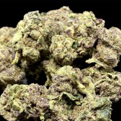 00CE7AD8 3DEE 4408 B06E AA7AB8D7501D