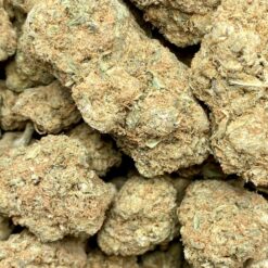 24280886 0593 4391 8A0F 493C34142AEB