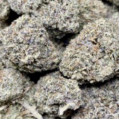 Dante’s Inferno 2 BCC4EE72 042D 45C7 9802 B61D1E52A2EF