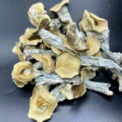 Liberty Cap Mushrooms 🍄 2 149EAAD9 BDD7 462C ABC9 7F1541908405