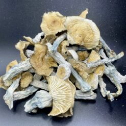 Liberty Cap Mushrooms 🍄 1 1FCD43B8 BAEB 4355 A5C4 53BBD257F54C