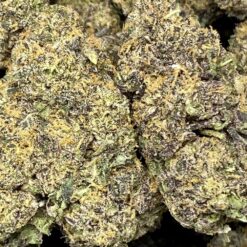 Gorilla Glue 2 75F19956 CEB1 49F3 AD51 0FD200A207CC