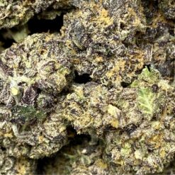 Gorilla Glue 3 B3D719CD 04BA 4128 B998 03E2D3B72788