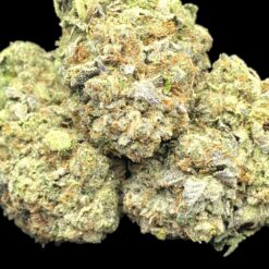 Pink Death 2 IMG 0362