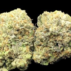 Pink Death 3 IMG 0363
