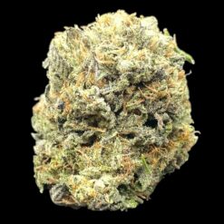 Pink Death 4 IMG 0364