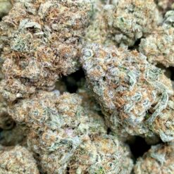 Mule Fuel strain buds - heavily indica hybrid with olive green nugs, orange hairs, and purple-tinted trichomes