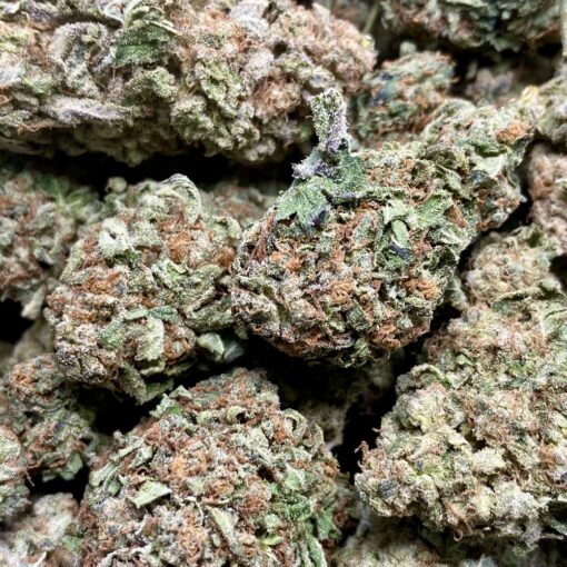 Phat Burger strain buds - indica-dominant hybrid with savory herb, diesel, and lemon aroma