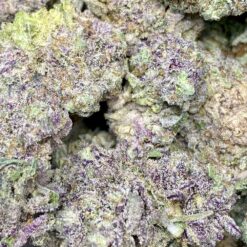 The Widow 2 IMG 8434