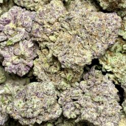 The Widow 3 IMG 8435