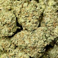 Garlic Cookies 2 IMG 8534