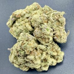 Purple Kush 1 IMG 8622