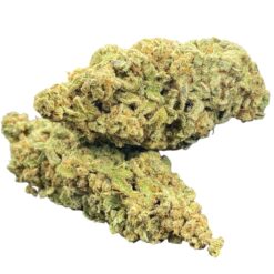 Pineapple Poison 2 IMG 8641