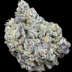 Photoroom 20251031 135941